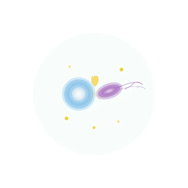 备孕