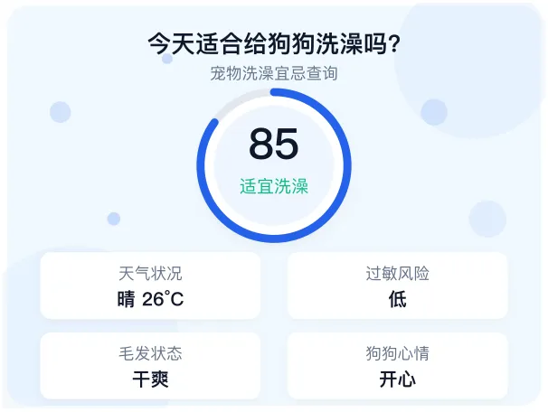 宠物洗澡