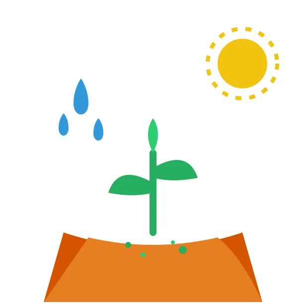 种植吉时
