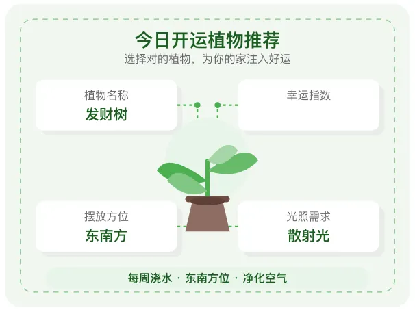 今天适合摆什么植物在家好运